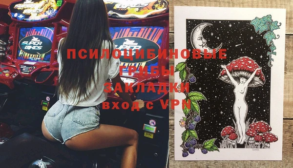 ешки Алзамай