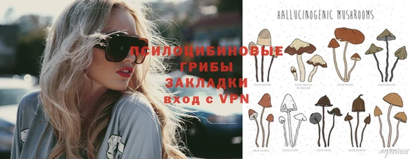 ешки Алзамай